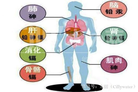 凈水器就是你的體外腎